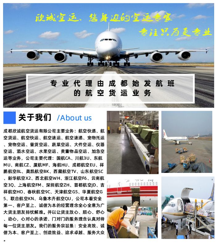 航空快递电话-成都航空快递-欣诚航空货运