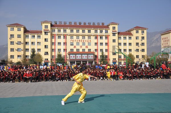 嵩山少林武术馆,少林武术, 嵩山少林武术学校