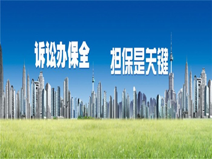 莲湖诉讼保全|鼎力诉讼|莲湖诉讼保全 流程