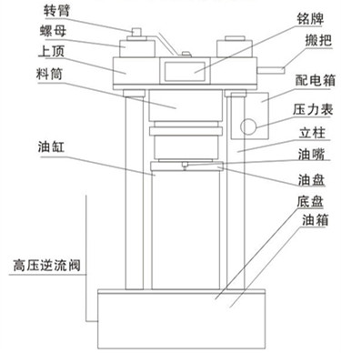 小型榨油机创新食品机械甘肃榨油机