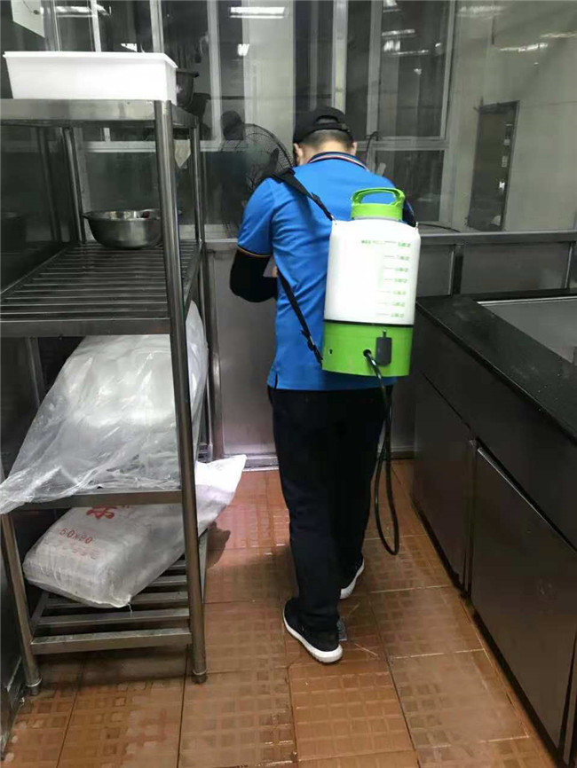 餐厅杀虫灭鼠多少钱-清远杀虫灭鼠-威瑞有害生物防治