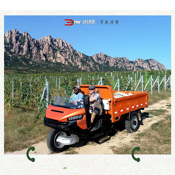具体销售车型如下:五征迈昂三轮车整车,迈昂三轮车驾驶室总成,五征