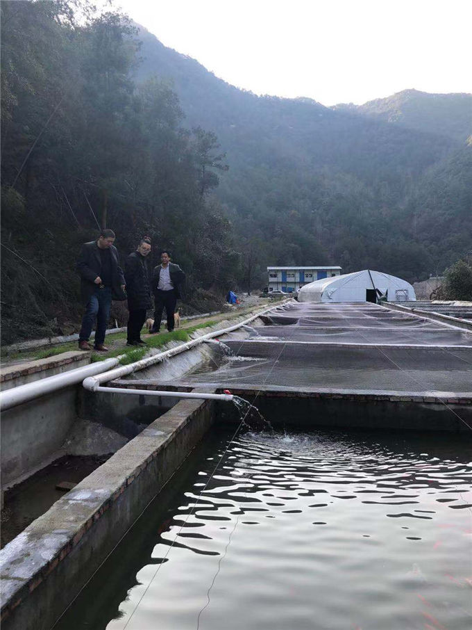 首页 供应信息 养殖产品网 鱼类养殖产品网 石斑鱼养殖产品网 > 石斑