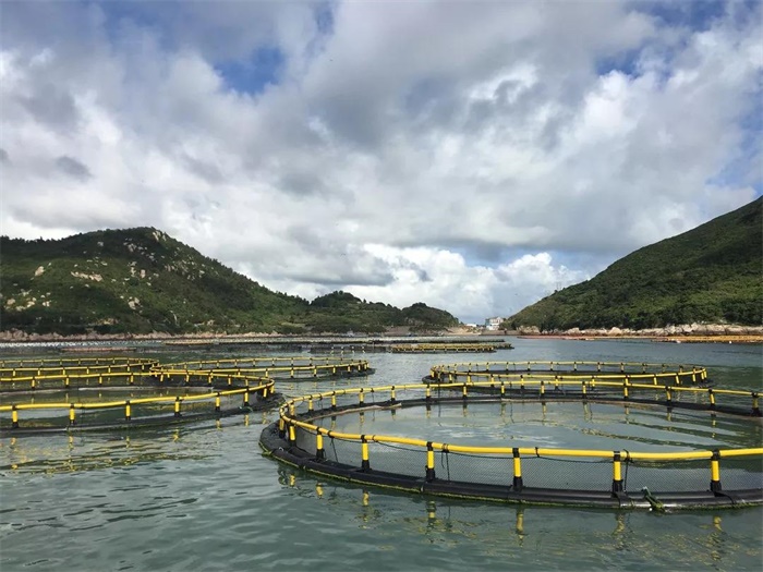 pe深水网箱腾远建材在线咨询网箱