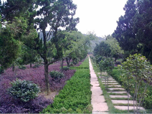 武汉生命公园-城市公益生态陵园,武汉坟墓价格是武汉八叠山公墓管理
