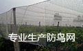 四川泥鳅养殖天网生产厂家,宜宾养殖泥鳅用哪种天网?,泥鳅天网的规格尺寸,泥鳅天网 四川泥鳅养殖天网生产厂家,宜宾养殖泥鳅用哪种天网?,泥鳅天网的规格尺寸,泥鳅天网