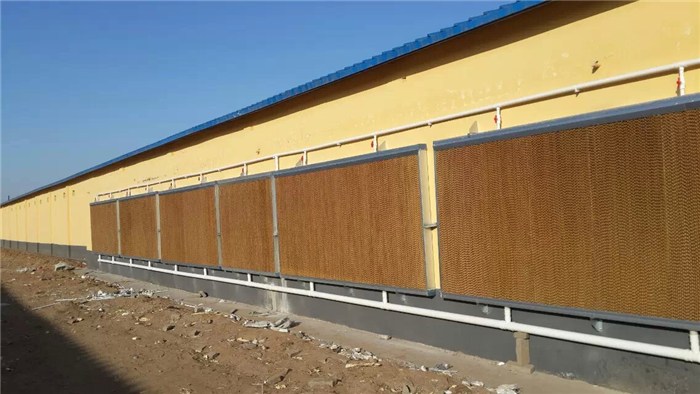 最新猪舍降温水帘供应行情,猪舍降温水帘批发价格